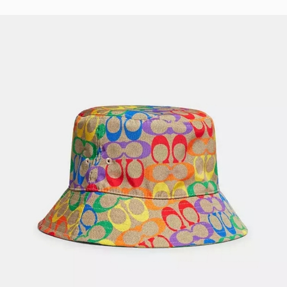 Coach hat - Picture 1 of 6